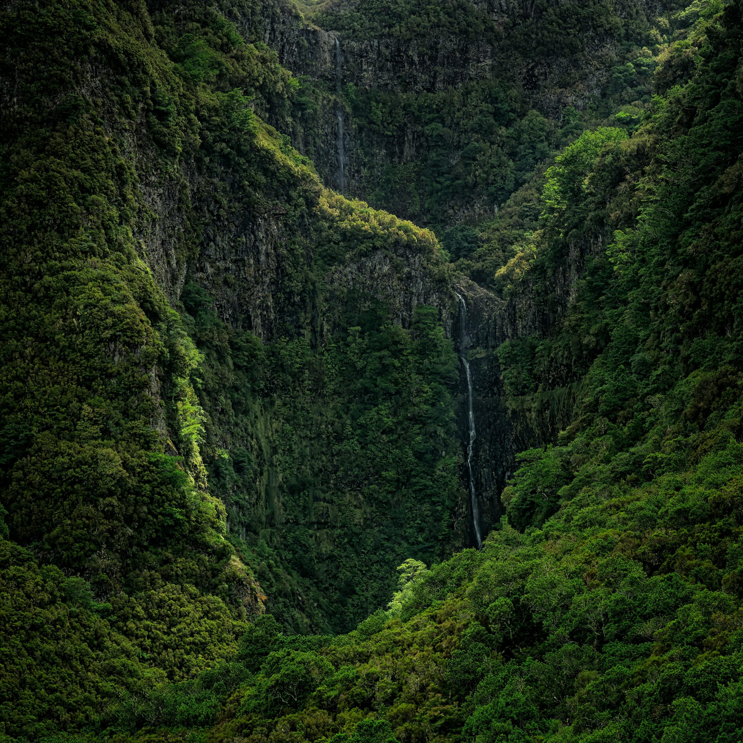 pexels cannontaler 14179123